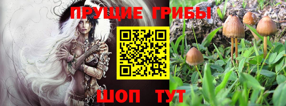 Галлюциногенные грибы ЛСД  Вход с VPN  Азов 