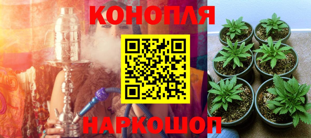 Бошки марихуана конопля Азов